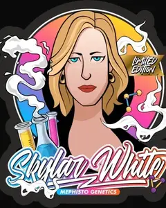 Skylar White Auto