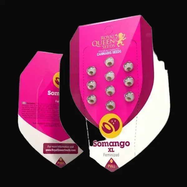 Somango XL — zdjęcie 5