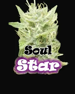 Soul Star