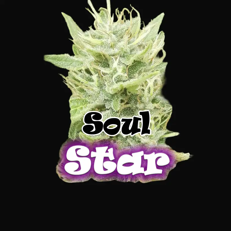 Soul Star