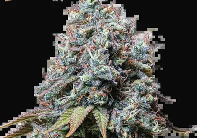 Sour Diesel
