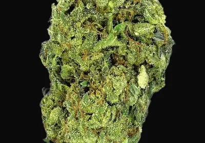 Sour Diesel