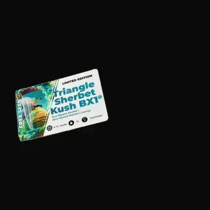 Sour Tropicana Sherbet — zdjęcie 4