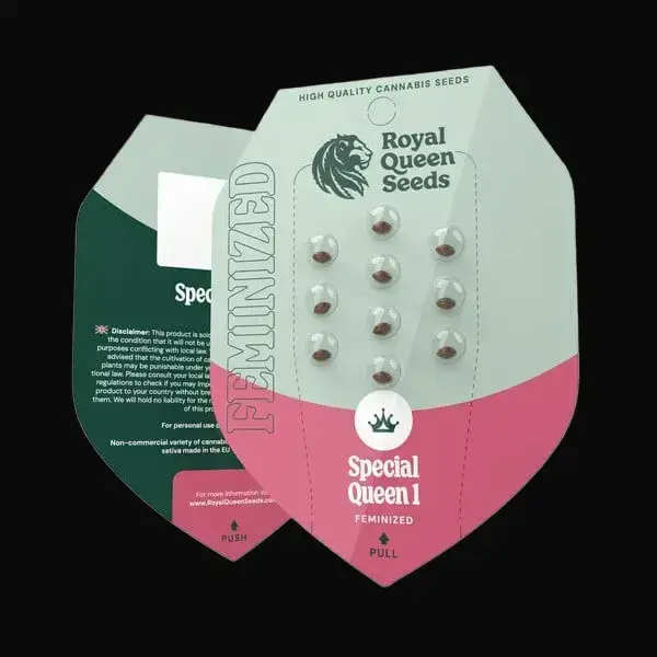 Special Queen 1 — zdjęcie 7