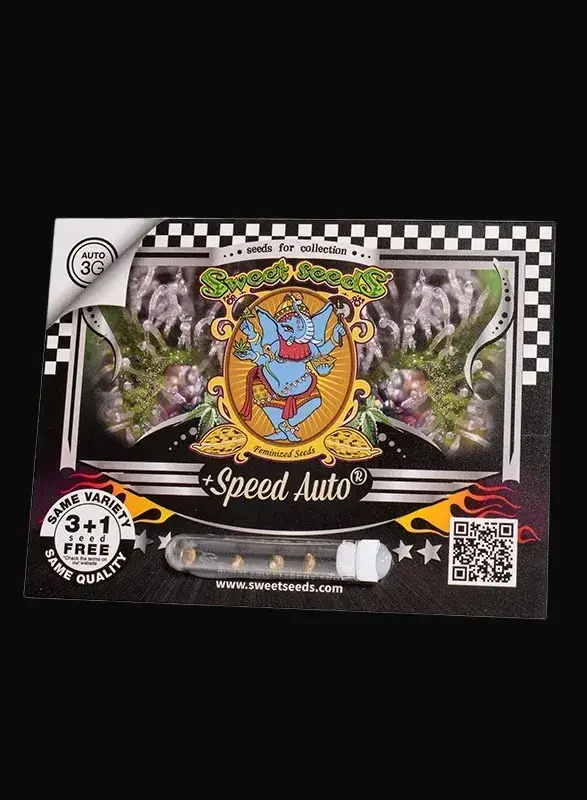 +Speed Auto — zdjęcie 2