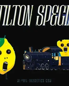 Stilton Special Auto