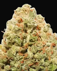 Strawberry Cake