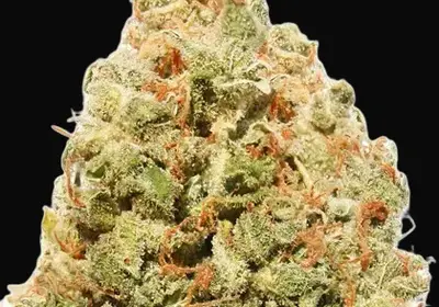 Strawberry Cake