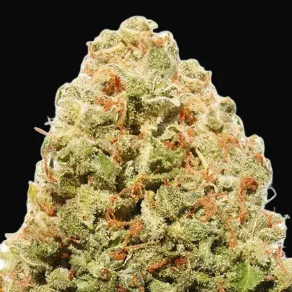 Strawberry Cake