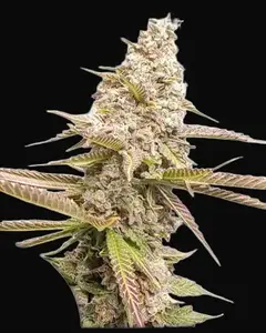 Strawberry Cookies