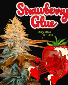 Strawberry Glue