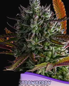 Strawberry Pop Rocks