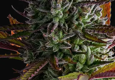 Strawberry Pop Rocks