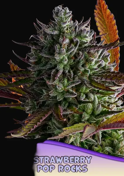 Strawberry Pop Rocks