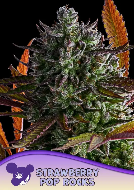 Strawberry Pop Rocks
