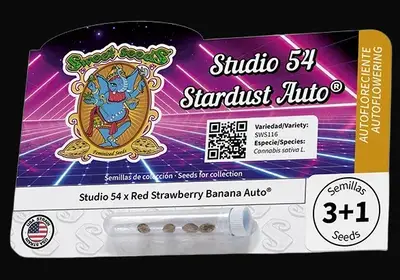 Studio 54 Stardust Auto