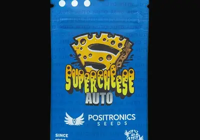 Supercheese Auto