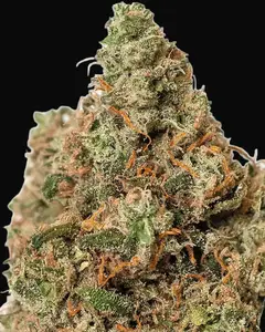 Supercheese