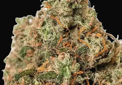 Supercheese