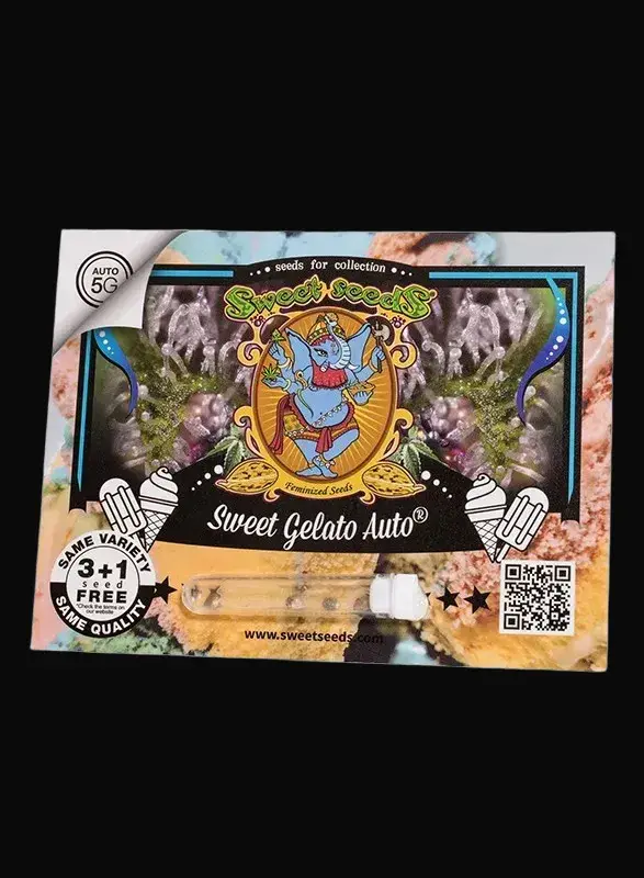 Sweet Gelato Auto — zdjęcie 4