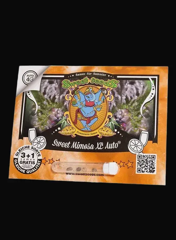 Sweet Mimosa XL Auto — zdjęcie 3