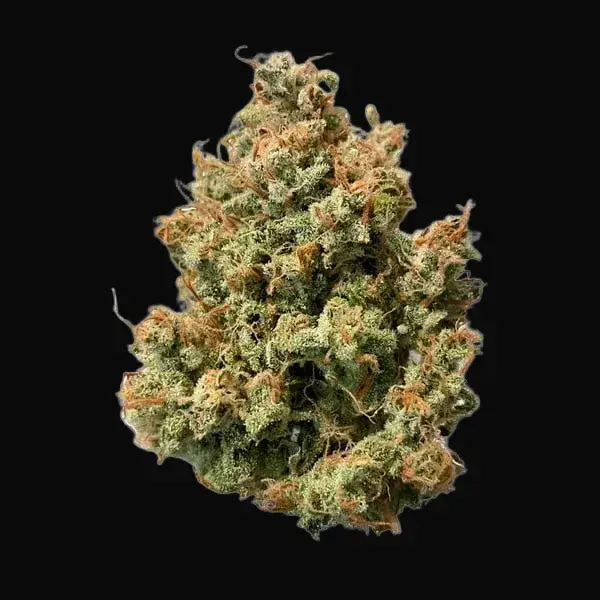 Sweet ZZ Auto — zdjęcie 7