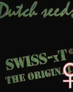 Swiss-xT
