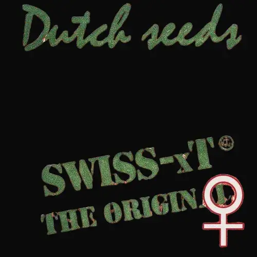Swiss-xT