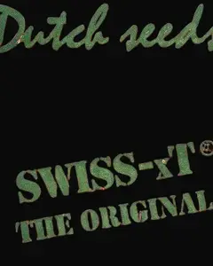Swiss-xT Regular