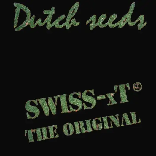 Swiss-xT Regular