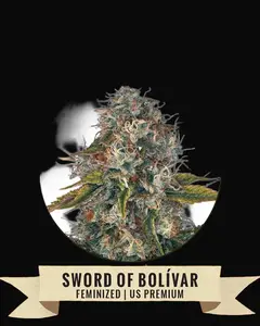 Sword of Bolívar