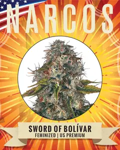 Sword of Bolívar