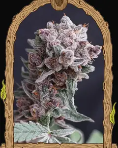 Tangie Smasher Auto