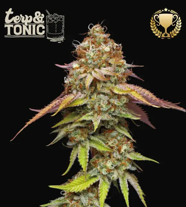 Terp & Tonic
