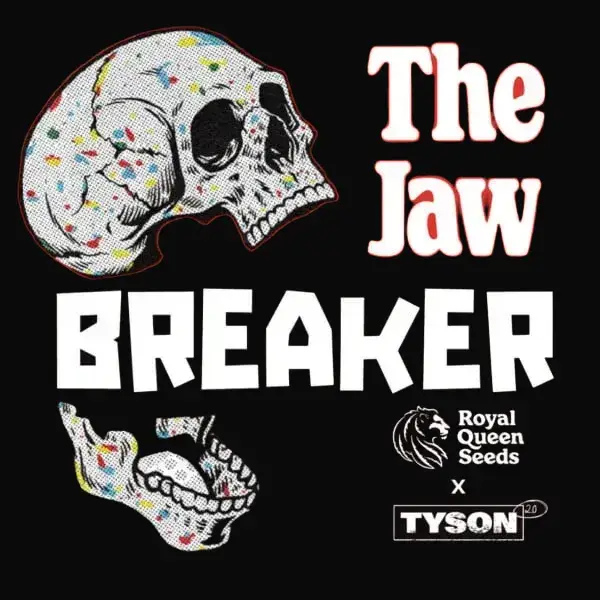 The Jawbreaker Limited Edition — zdjęcie 8
