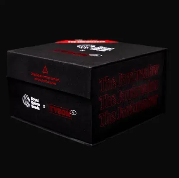 The Jawbreaker Limited Edition — zdjęcie 2