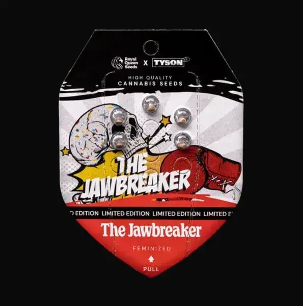 The Jawbreaker Limited Edition — zdjęcie 10