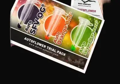 Trial Pack Autoflower