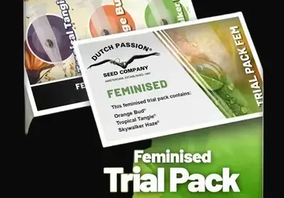 Trial Pack Feminised