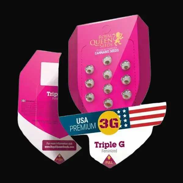 Triple G — zdjęcie 2
