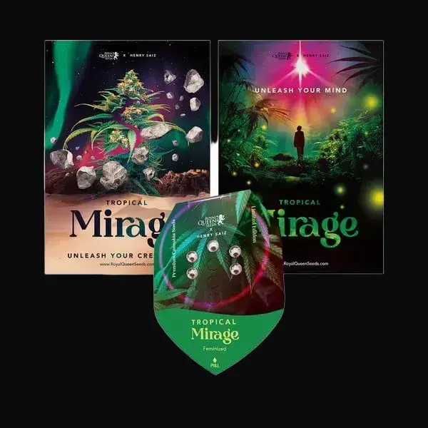 Tropical Mirage Limited Edition — zdjęcie 5