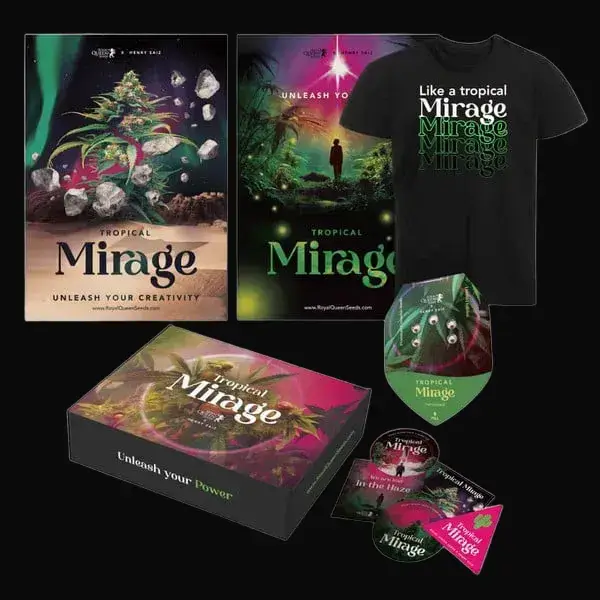 Tropical Mirage Limited Edition — zdjęcie 6