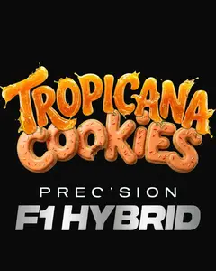 Tropicana Cookies Auto