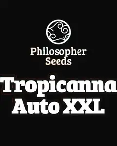 Tropicanna Auto XXL