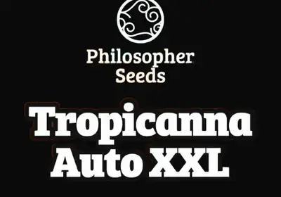 Tropicanna Auto XXL