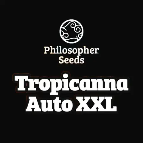 Tropicanna Auto XXL