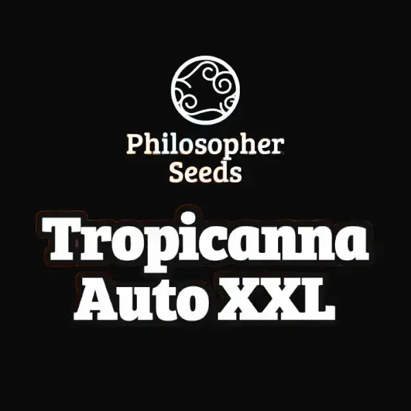 Tropicanna Auto XXL