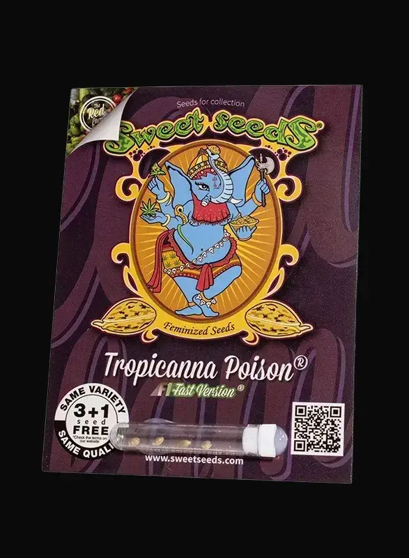 Tropicanna Poison F1 Fast Version — zdjęcie 3
