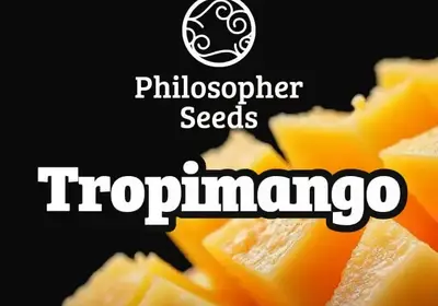Tropimango