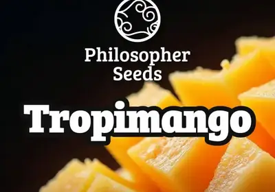 Tropimango